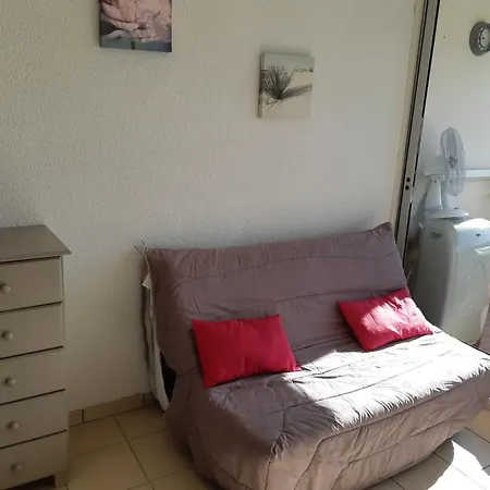 Studio Cabine Le Grazel Apartment *